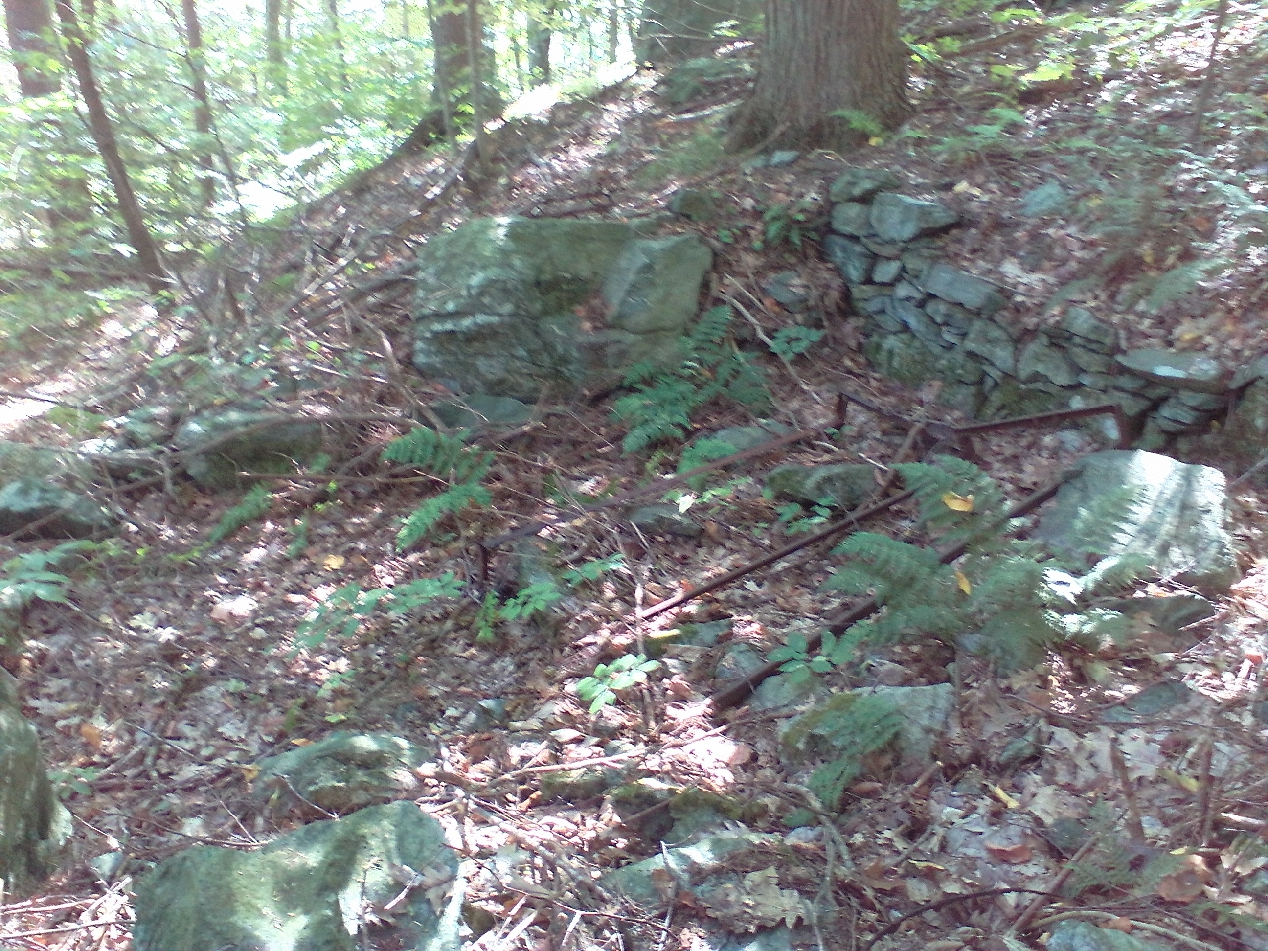 Ellis Ruley Property Hammond Rd - 2